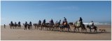 Could you sponsor a Camel Trek for charity